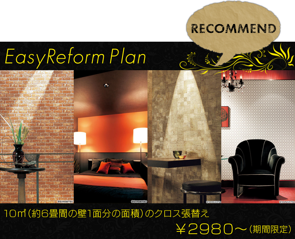 EasyReform Plan